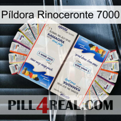 Píldora Rinoceronte 7000 kamagra1